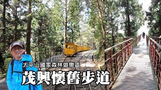 Taipingshan~Maoxing Trail, a forest bathing trail that can only be reached by taking a tram.