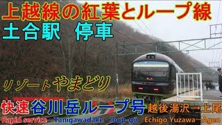 【車窓音 臨時快速谷川岳ループ号 上尾ゆき】越後湯沢→上尾 485系リゾートやまどりJR東日本心地よいモーター音作業用BGM列車走行音ジョイント音車内放送電車の音 土合駅の様子上越線紅葉とループ線