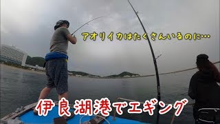 春イカ エギング！in伊良湖