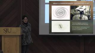 The Harmonograph