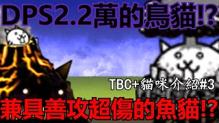 《貓咪大戰爭+》狂亂貓咪大進擊！最強的待遇竟是！？| TBC+貓咪介紹#3