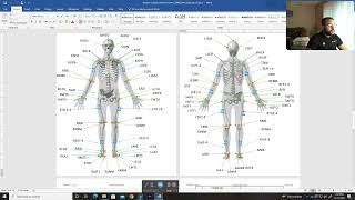 Visual 3D Tutorial 102 Building a Biomechanical Model