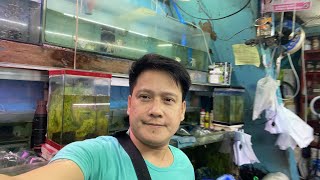 Update po sa ating Subscribers christmas raffle & FISH UPDATE! Aqualand Alley Cartimar #pingymson