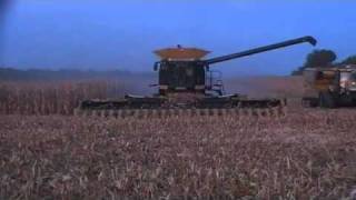 Geringhoff 24 row 20 inch corn head harvesting corn