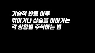 기술적반등 차이점과 각 상황별 팁