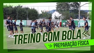 Os primeiros treinos físicos com bola do Palmeiras em 2015