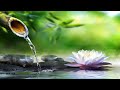 Relaxing Zen Music - Spa Massage Music that Relaxes The Body and Mind~Heavenly Water