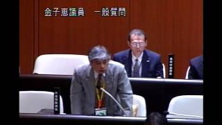 平成２６年第１回定例会（H26 3 6）　金子恵議員　一般質問