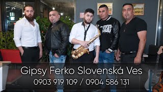 GIPSY FERKO SLOVENSKÁ VES - E fajta pes nadikel