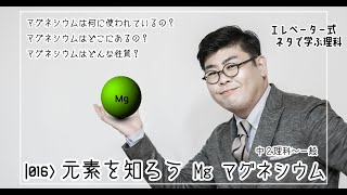 元素を知ろう Mg マグネシウム