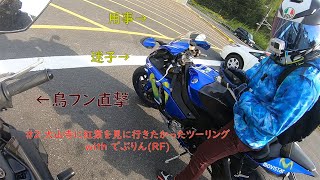 【ハプニング】【モトブログ】大山寺に紅葉を見に行きたかったツーリング【MT-25】【YZF-R1】