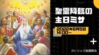 カトリック加須教会　聖霊降臨の主日ミサ　 2022年6月5日　14:00