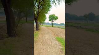 Beautiful Village Life Culture Of Lehnda Punjab Bahawalnagar Of Pakistan Cholastan Desert 🏜️🏝️2025