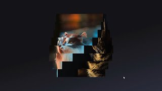 3D Flip Image Hover Effects | Html & CSS