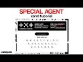 ‘SPECIAL AGENT’ carrd tutorial!!