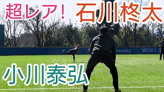 小川泰弘と石川柊太のキャッチボール 創価大学野球部OB自主トレ