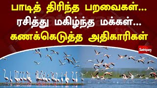 பாடித் திரிந்த பறவைகள்   ரசித்து மகிழ்ந்த மக்கள்   கணக்கெடுத்த அதிகாரிகள் | Sathiyamtv