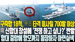 구축함만 18척에 미사일 700발 이상 보유, 한국 신함대에 '전쟁 하고 싶은거냐?' 반발까지 등장