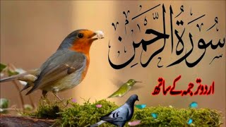 SURAH RAHMAN TARJUMA K SATH | BY QARI Al SHAIKH MUHAMMAD | EP 00338 | QURAN TILAWAT BEAUTIFUL VOICE