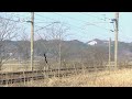 2090レ ef510 23 二ツ井〜富根 2015 0412