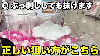 知って得する！大きいぬいぐるみの取り方！！【クレーンゲーム・UFOキャッチャー】