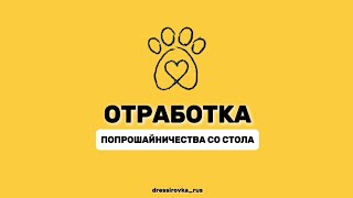 4 СПОСОБА ОТУЧИТЬ СОБАКУ ПОПРОШАЙНИЧАТЬ ЕДУ СО СТОЛА