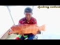 Umpan mancing sangat jitu..!!Bisa dapat ikan sultan