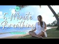 🧘🏻‍♀️ 5-Minute Breathing Meditation to Cultivate Mindfulness