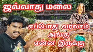 🔥 ஜவ்வாது மலை எப்பொழுது வரலாம் என்ன இருக்கு அப்படி #vinothvlog