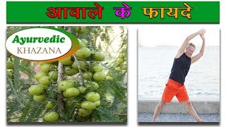 आंवले के स्वास्थ्यवर्धक लाभ - HEALTH BENEFITS OF AMLA IN HINDI || Ayurvedic Khazana