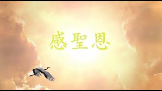 正見網 - 正見天音  庆祝513 《感圣恩》