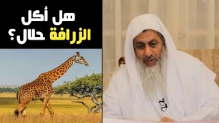 ما حكم أكل لحم الزرافة؟ | الشيخ مصطفى العدوي