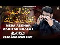 Meda Asghar Akhiyan Bhalwy | Syed Raza Abbas Shah | Nohay 2024 Lori | Muharram Nohay 2024-1446