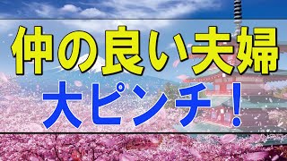 テレフォン人生相談 🌟 妻の不倫！仲の良い夫婦の大ピンチ！どうすれば？今井通子＆大迫恵美子!人生相談