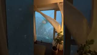 Typhoon SHATTERS Apartment Window!