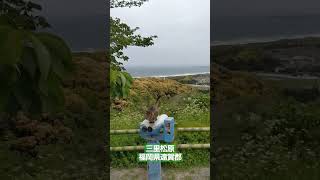 絶景・三里松原　福岡県遠賀郡岡垣町　Cat cute 　♯shorts　♯ネコかわいい　　♯ネコ　♯猫　♯Cat cute 　♯Cat 　♯JAPAN  ♯絶景　♯三里松原　♯幾田りら　♯Answer