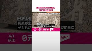 【4月から変わる】離婚後300日以内でも再婚相手の子どもに嫡出推定の規定見直し 女性の再婚禁止期間も撤廃【改正民法】  #shorts