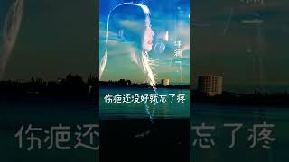 洋澜一《伤疤还没好就忘了疼》