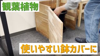 【DIY】観葉植物の鉢カバーをなんとか使いやすくしたい！