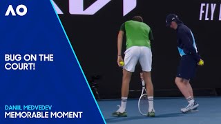 Medvedev & Ballkid Remove Bug from Court in Men's Singles Final | Australian Open 2024