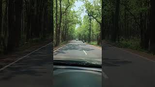 Jhargram To Lodhasuli #youtubeshorts #travel #trendingshorts #destination #travelvlog