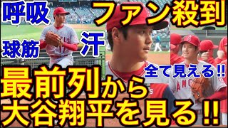 敵地で見たファン殺到現場からお届け‼︎【カッコ良さが半端ない‼︎】５勝目を挙げた大谷選手のブルペン練習にファンが殺到！ど真ん中から見た大谷翔平のカッコ良さが半端ない！現地6月16日