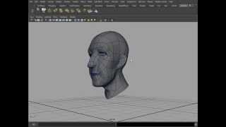 modeling Basic Head