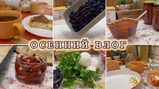 🛍️ ПОКУПКИ ДЛЯ ДОМА // 🥧 ЦВЕТАЕВСКИЙ ПИРОГ // 🍅 ЧТО Я СДЕЛАЛА С ОСТАТКАМИ ПОМИДОР