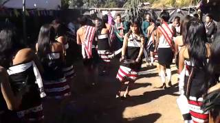 zeme nagas dance by boronianglo village