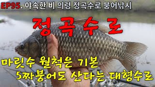 EP95. 야속한 비 | 마릿수 월척 | 5짜터 | 의령 | 정곡수로 | 월현천 | 붕어낚시 | Crucian Carp Fishing