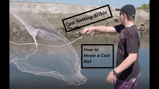 Ep1 Fishing Bribie Island (Cast Netting)