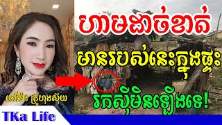 ចៅម៉ែផ្តាំ៖ ហាមដាច់ខាត់មានរបស់ទាំងនេះនៅក្នុងផ្ទះ ធ្វើអោយម្ចាស់ផ្ទះរកស៊ីមិនឡើងទេ, TKa Life