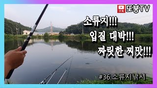 [또붕TV] #36. 소류지 낚시 엄청난 입질이 온다!! #붕어낚시 #대물낚시 #소류지낚시 #대박입질 #찌맛 #찌올림