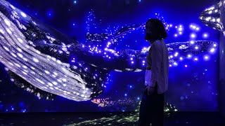 Universo Submerso — A Nova Exposição do Oceanário de Lisboa! 🌟🌌